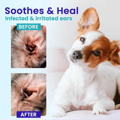 🌟 Official Store |✨ From Smelly & Itchy to Perfectly Clean Ears! RZXEA™ Pet EarPro Drops FM+