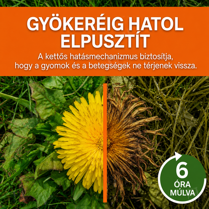 ✨ Gyomdzsungelből tökéletes pázsit! | ⏱️ Nézze, ahogy a gyomok 6 óra alatt elszáradnak!AEXZR® 2 az 1-ben Maximális Erő Gyomirtó