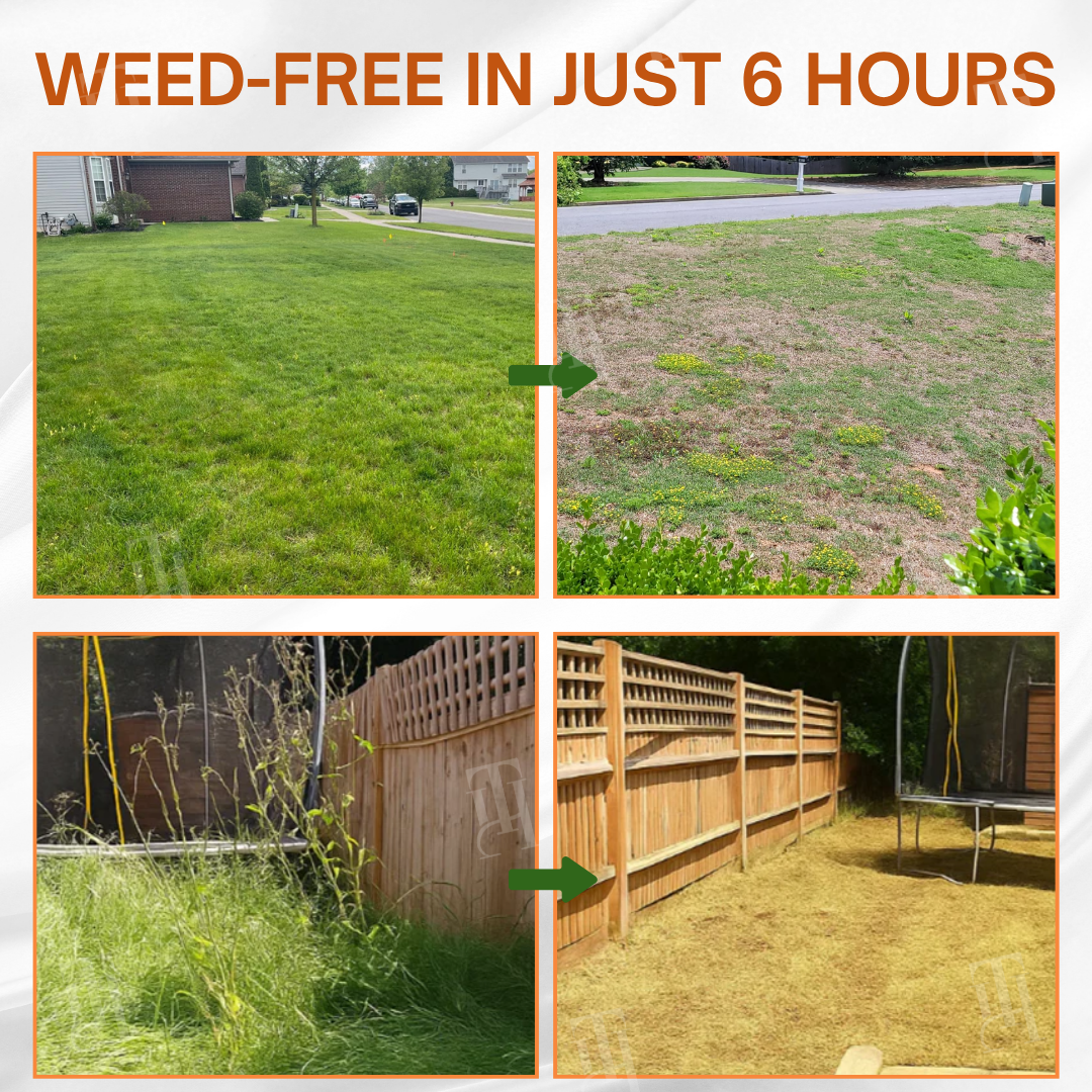 🌟 Official Store | ⏳ Watch Weeds Wither in 6 Hours! AEXZR® 2-in-1 Max Power Herbicide (100% Glyphosate-Free)