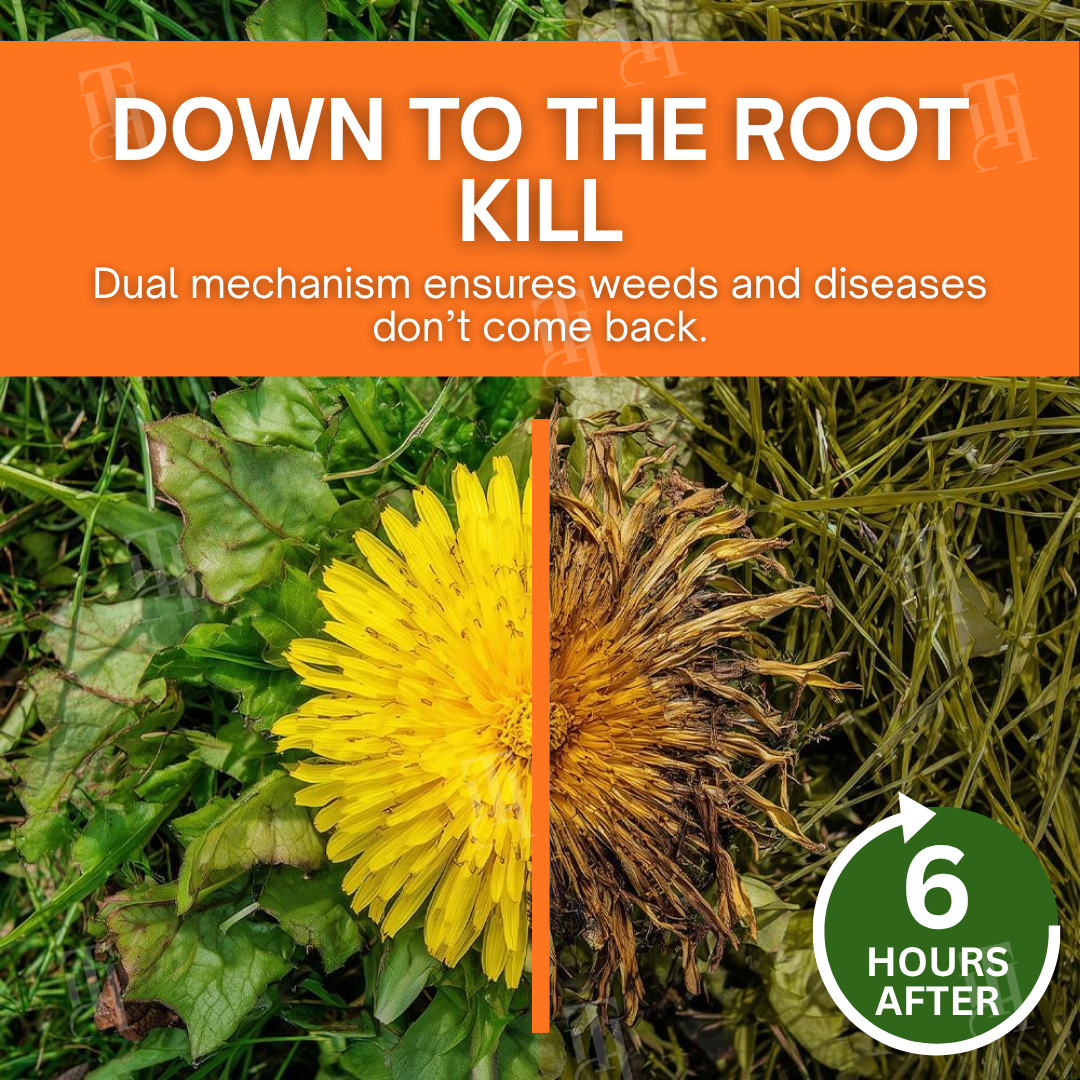 🌟 Official Store | ⏳ Watch Weeds Wither in 6 Hours! AEXZR® 2-in-1 Max Power Herbicide (100% Glyphosate-Free)