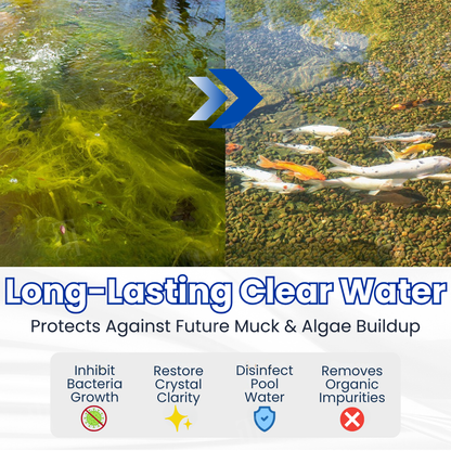🌟 Official Store |⏱️ Crystal Clear in 24 Hours! | AEXZR® Aqua-Guardian Pro Formula