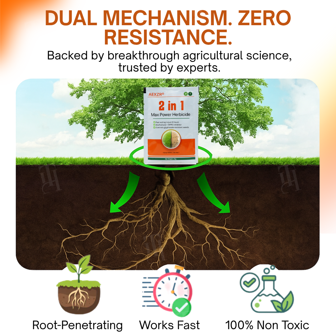 🌟 Official Store | ⏳ Watch Weeds Wither in 6 Hours! AEXZR® 2-in-1 Max Power Herbicide (100% Glyphosate-Free)