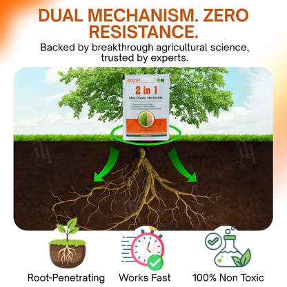 🌟 Official Store | ⏳ Watch Weeds Wither in 6 Hours! AEXZR® 2-in-1 Max Power Herbicide (100% Glyphosate-Free)