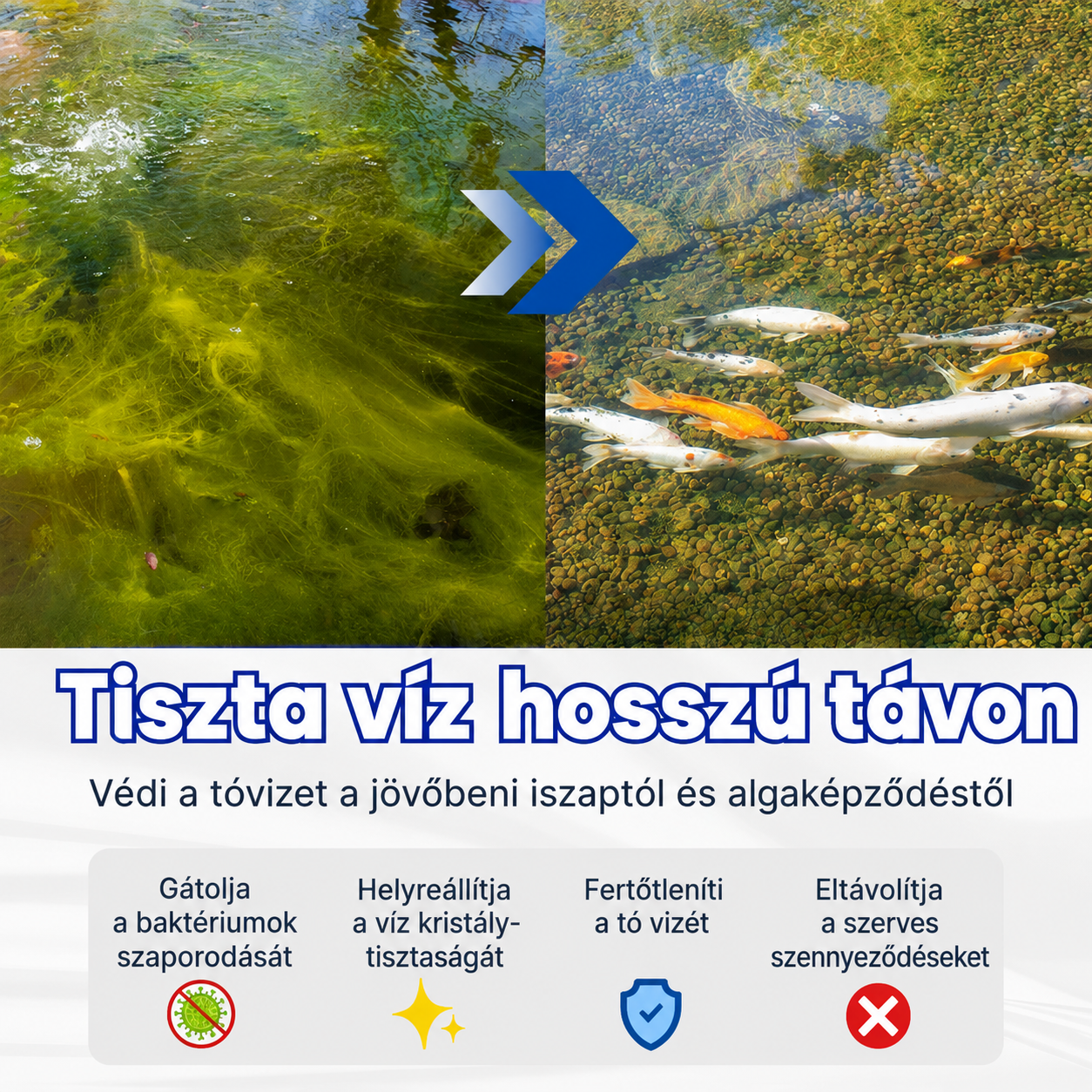 ✨ Zöldből tiszta egyetlen éjszaka alatt! | ⏱️ Kristálytiszta 24 órán belül! | AEXZR® Aqua-Or Pro Formula