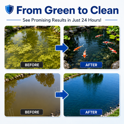 🌟 Official Store | 💧 End Green Pond Panic — RZXEA™ 4-in-1 Aqua-Guardian Pro Powder for Clearer Water, Less Muck & Easier Pond Care