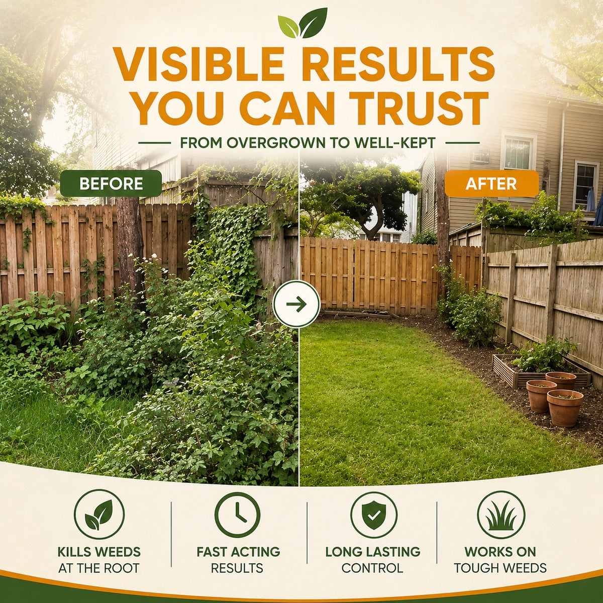 Yard before and after transformation