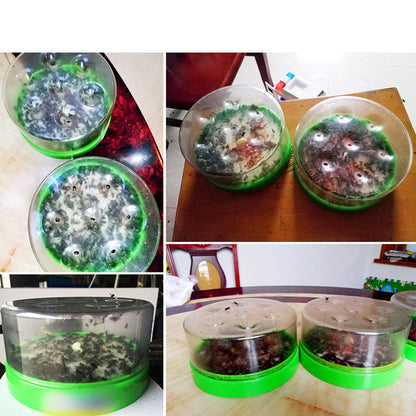🛡️ Ultimate Reusable Fly Trap | Non-Electric, Safe & Highly Effective Outdoor Pest Control 🍃